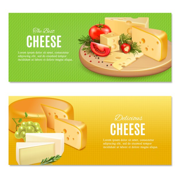 Realistic cheeses with spices and vegetables on green and yellow