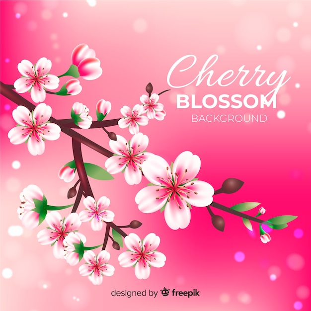 Realistic cherry blossom background