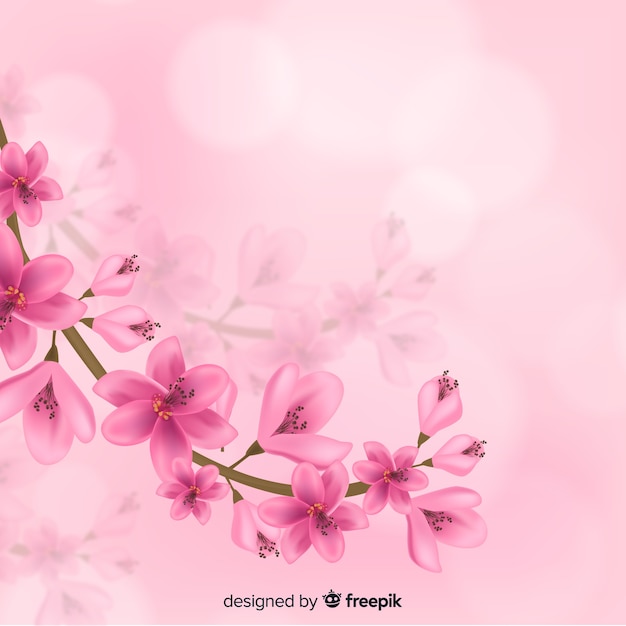 Realistic cherry blossom branch background