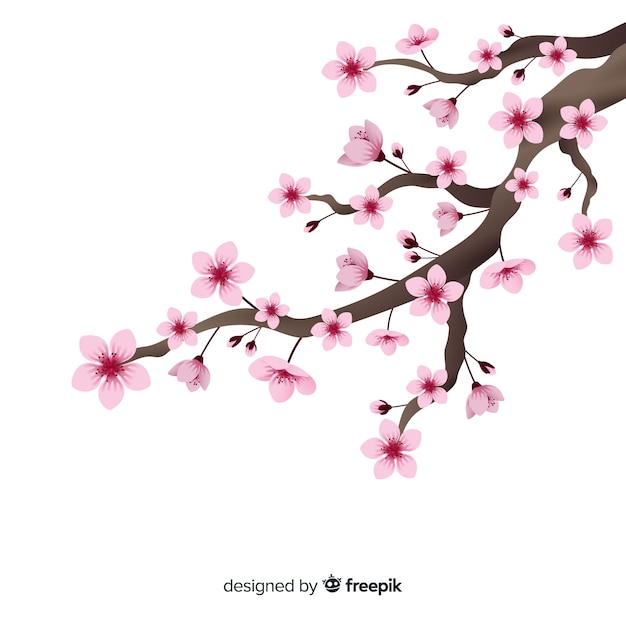 Realistic cherry blossom branch background