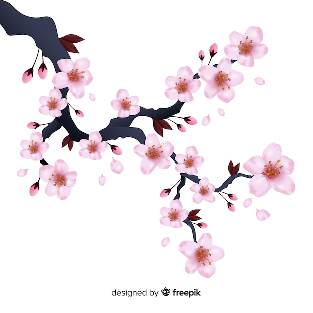 Realistic cherry blossom branch background