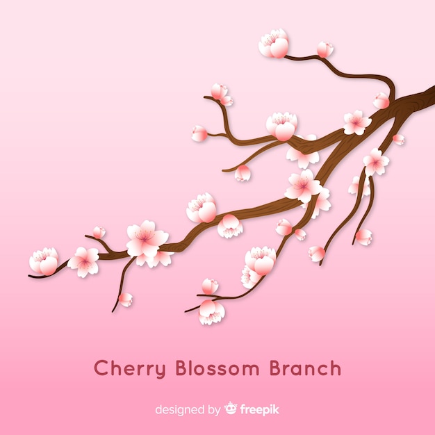 Free Vector realistic cherry blossom branch