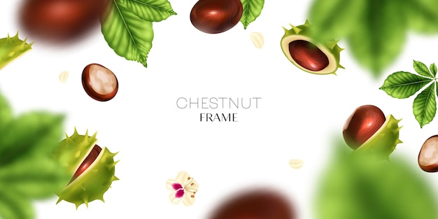 Free Vector realistic chestnut frame with nut seeds and shells vector illustration