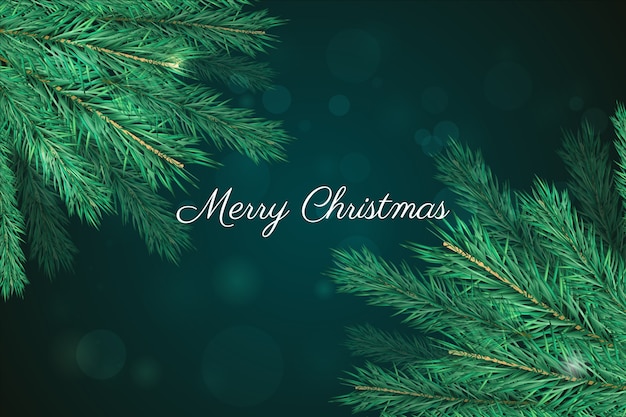 Realistic christmas tree branches background