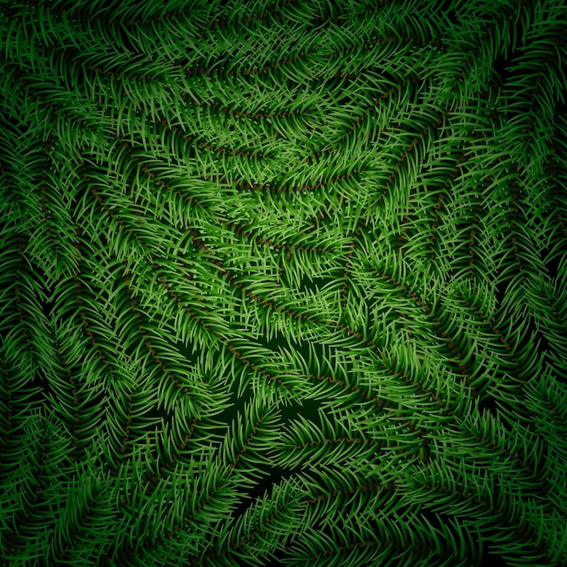 Free Vector realistic christmas tree branches background