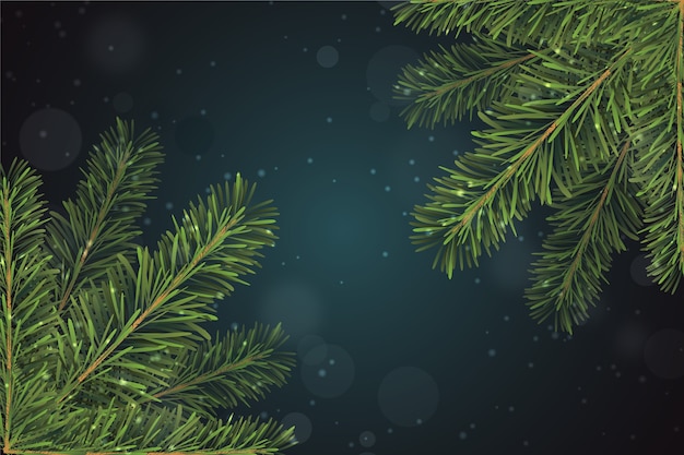 Realistic christmas tree branches background