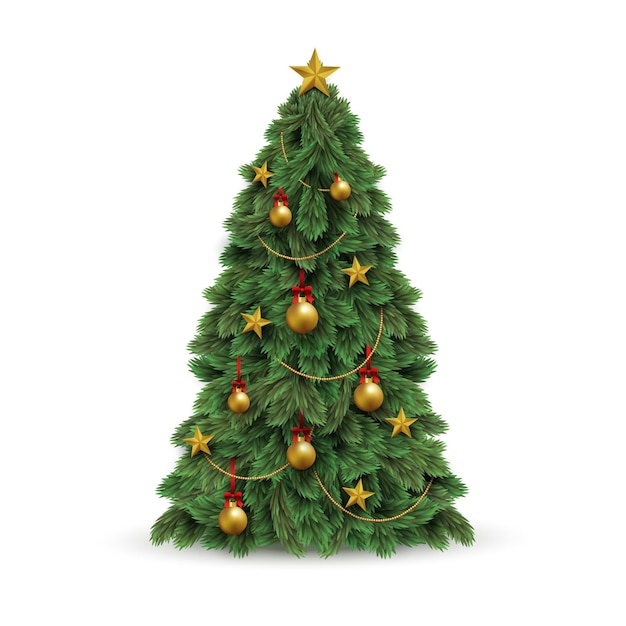 Free vector realistic christmas tree illustration