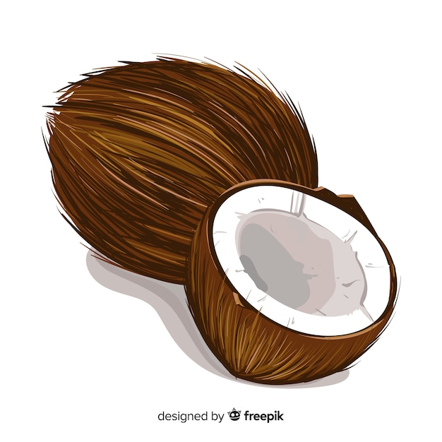 Realistic coconut background