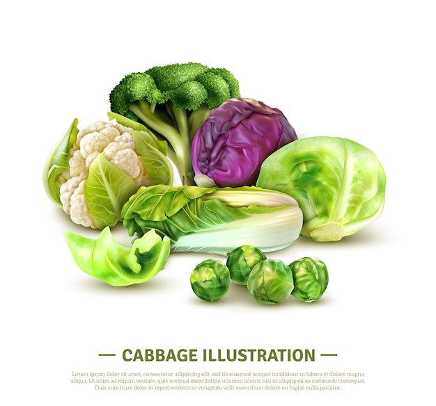 Free Vector realistic composition with white cabbage and scotch kale heads chinese leaves brussels sprouts broccoli and cauliflower