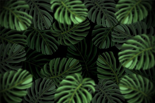 Realistic dark tropical leaves background