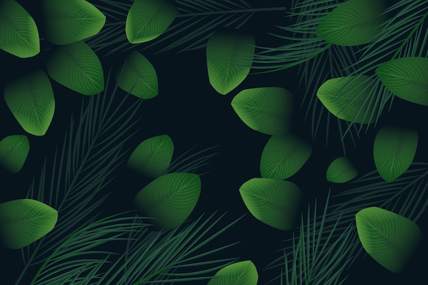 Free Vector realistic dark tropical leaves background