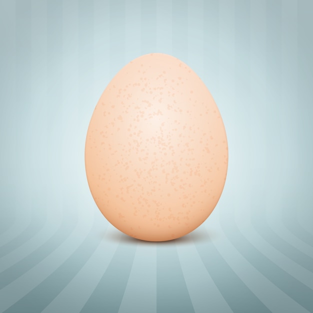 Free Vector realistic egg