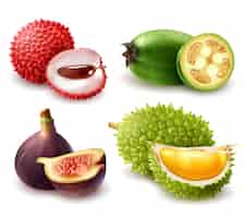 Free vector realistic exotic fruits set