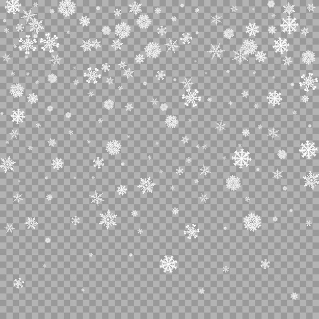 Realistic falling white snow overlay on transparent background Snowflakes storm layer