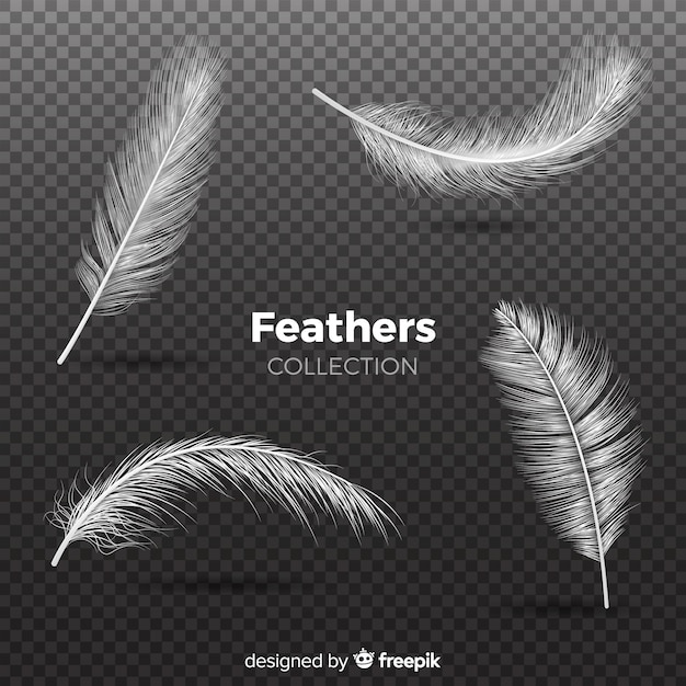 Free Vector realistic feather collection