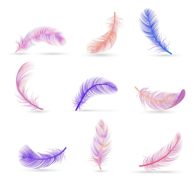 Realistic feather set with soft violet and pink isolated feathers