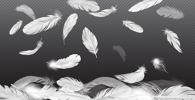 Free Vector realistic feathers falling composition with transparent background and falling white feathers with different transparency and shape vector illustration