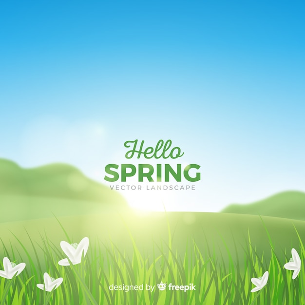 Realistic field spring background