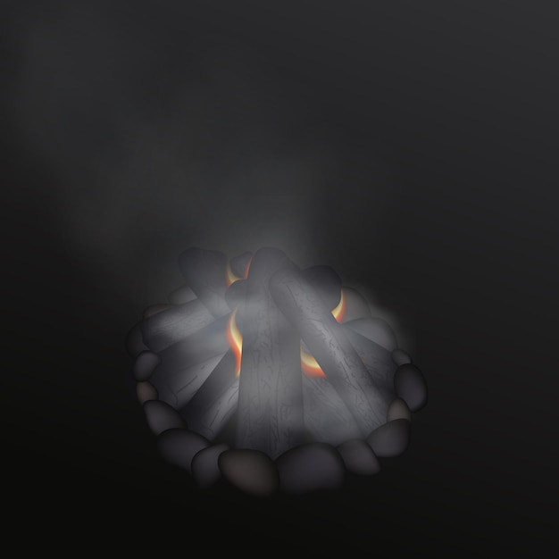 Free Vector realistic fire going out