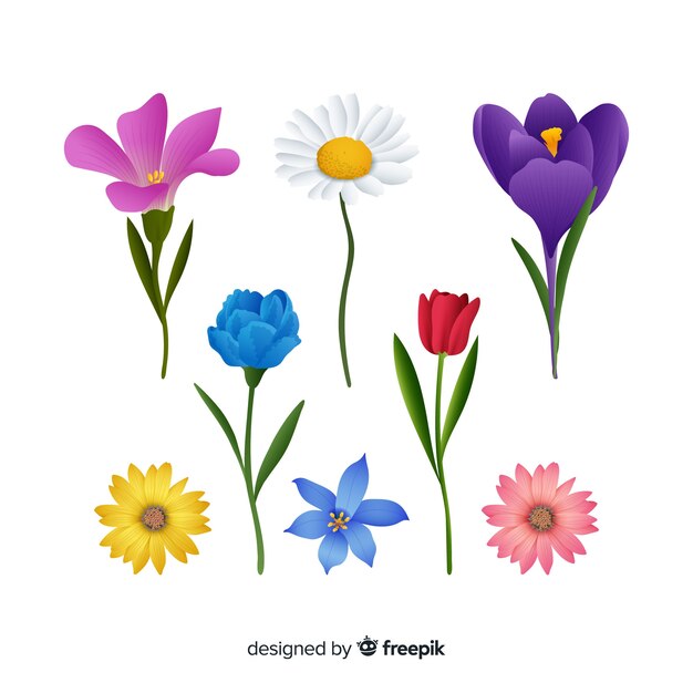 Free Vector realistic flower set