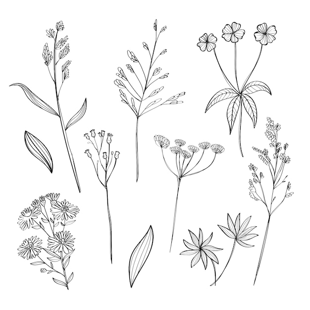 Free vector realistic flowers in hand drawn