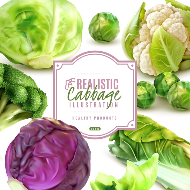 Free Vector realistic frame with different kinds of fresh cabbage on white