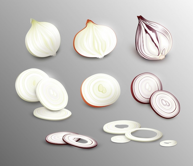 Realistic Fresh Onion Collection