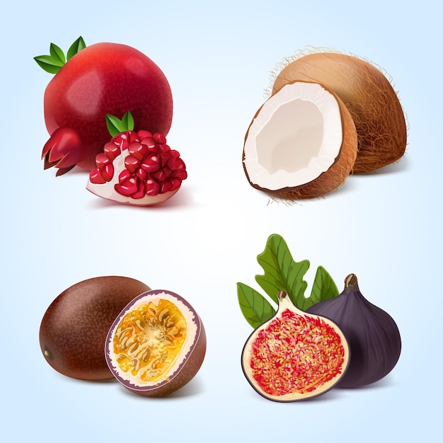 Realistic fruits collection