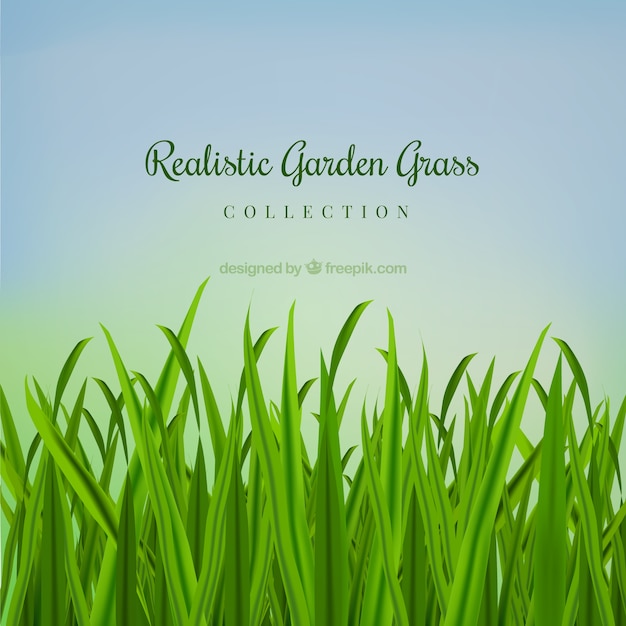 Free Vector realistic garden grass 