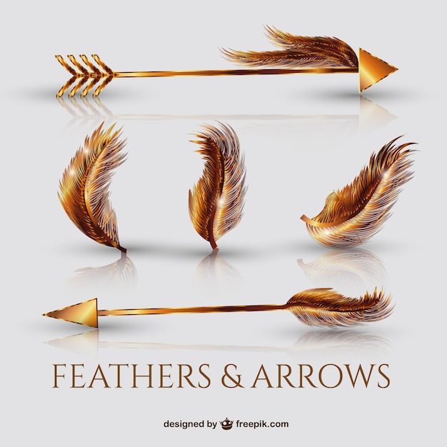 Realistic golden arrows and feathers