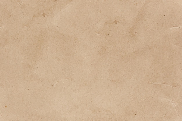 Free Vector realistic grain paper texture