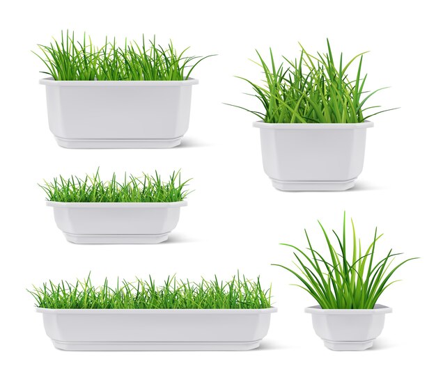 Realistic grass pot set