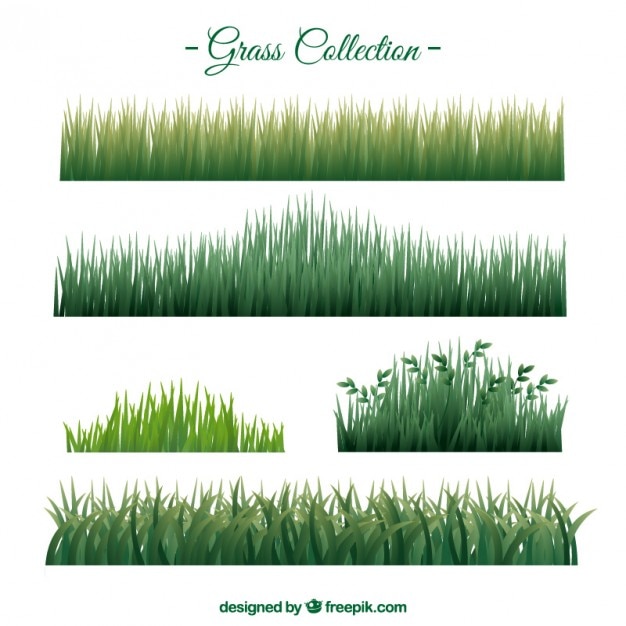 Free Vector realistic grass set