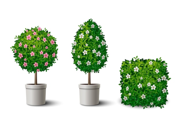 Free Vector realistic green blooming shrubs and small potted trees of different shapes isolated vector illustration