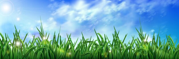 Realistic green grass under blue sky