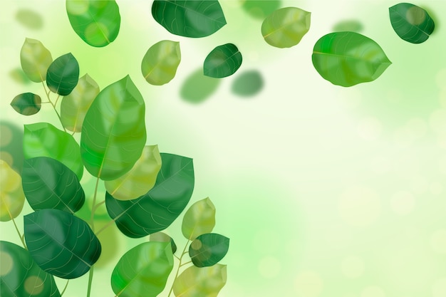 Realistic green leaves background