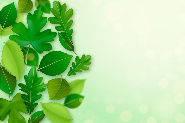 Realistic green leaves background