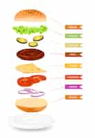 Free vector realistic hamburger layers infographics