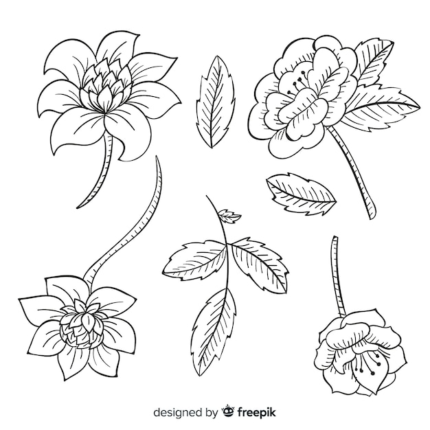 Realistic hand drawn baroque retro flowers