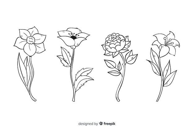 Realistic hand drawn botanical flowers collection