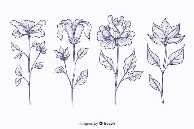 Realistic hand drawn botanical flowers collection