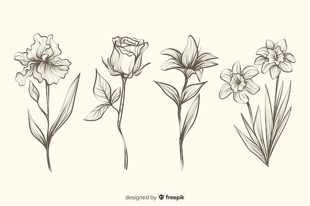 Realistic hand drawn botanical flowers collection