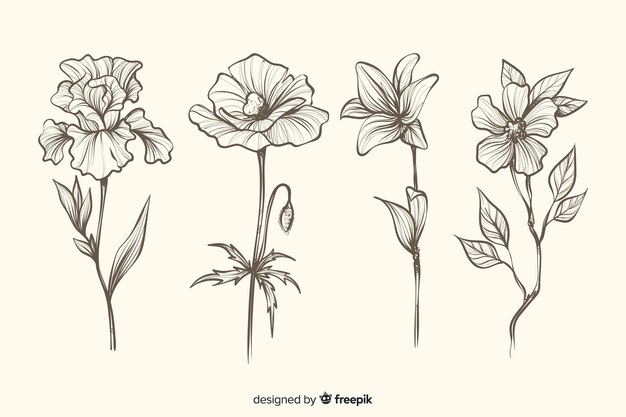 Realistic hand drawn botanical flowers collection