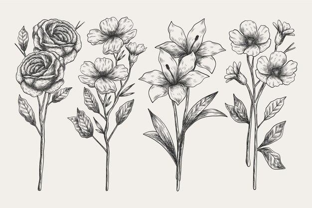 Realistic hand drawn botany collection