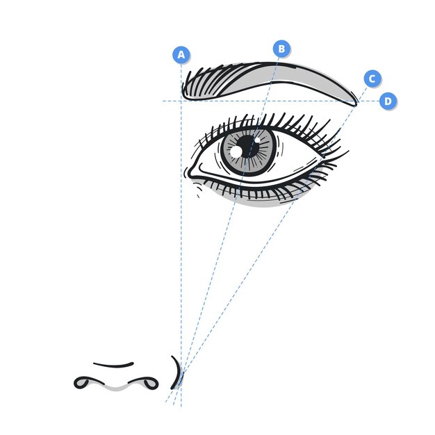 Realistic hand drawn brow mapping illustration