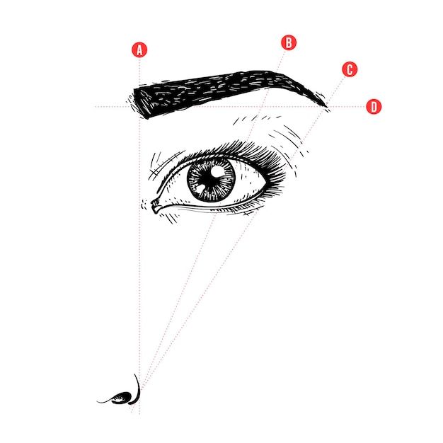 Realistic hand-drawn brow mapping