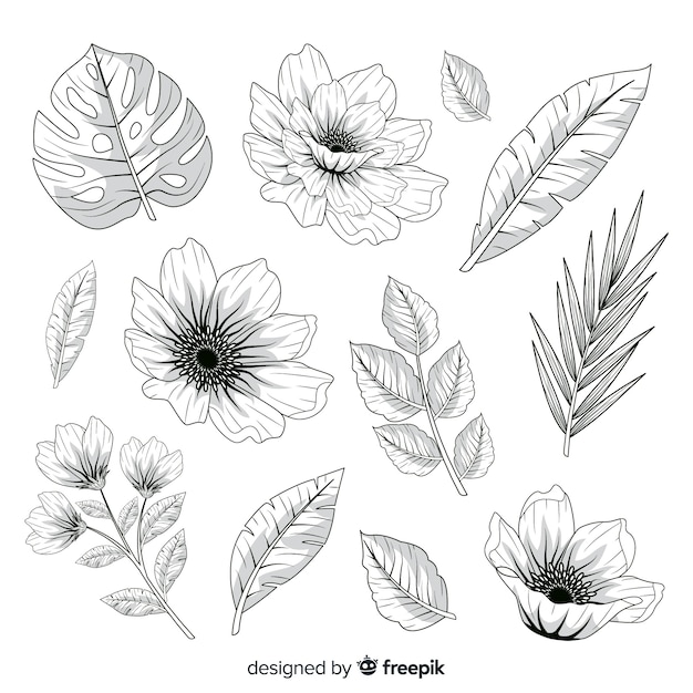 Realistic hand drawn flowers and leaves