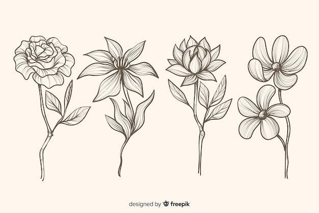 Realistic hand drawn flowers and leaves