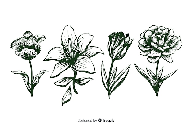 Free Vector realistic hand drawn flowers with stems and leaves in green colours