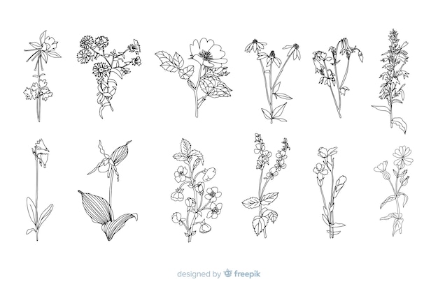 Free Vector realistic hand drawn flowers